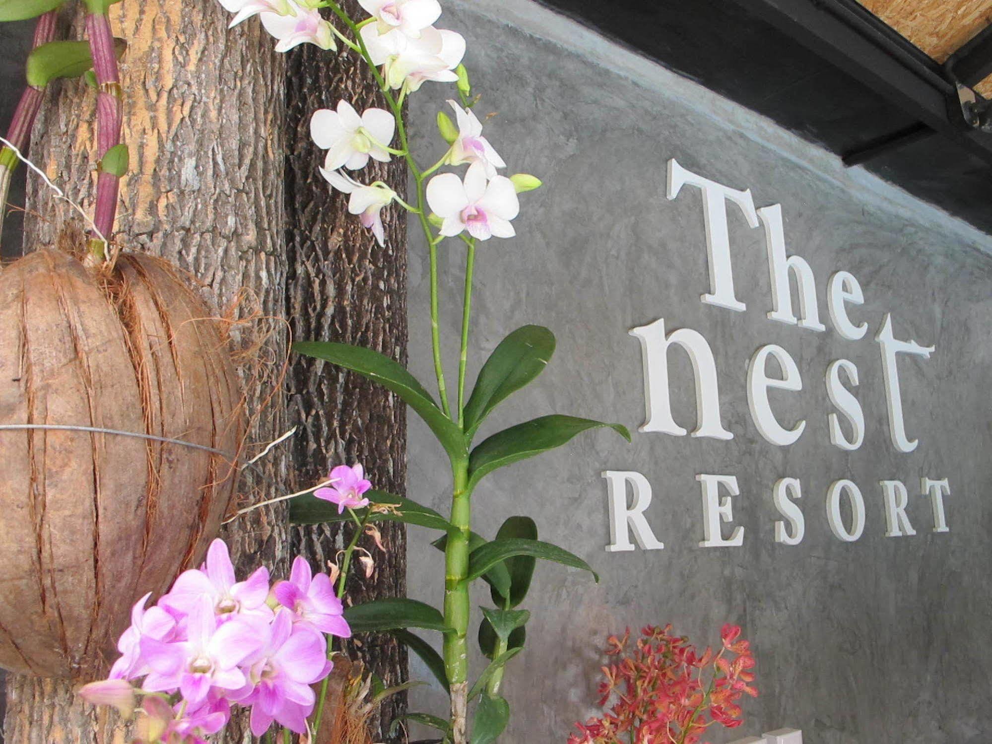 The Nest Resort Patong מראה חיצוני תמונה